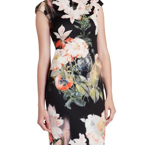 Ted Baker Opulent Bloom Body Con Sleeveless Dress EUC - Picture 1 of 15
